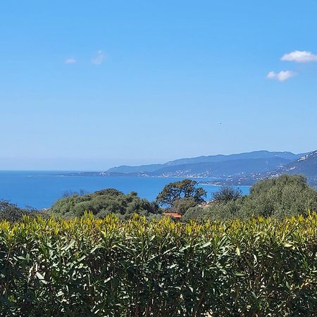 T2 Propriano Vue Mer, Neuf, Climatise Et Classe 3 Etoiles Viggianello Экстерьер фото