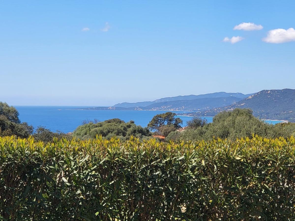 T2 Propriano Vue Mer, Neuf, Climatise Et Classe 3 Etoiles Viggianello Экстерьер фото